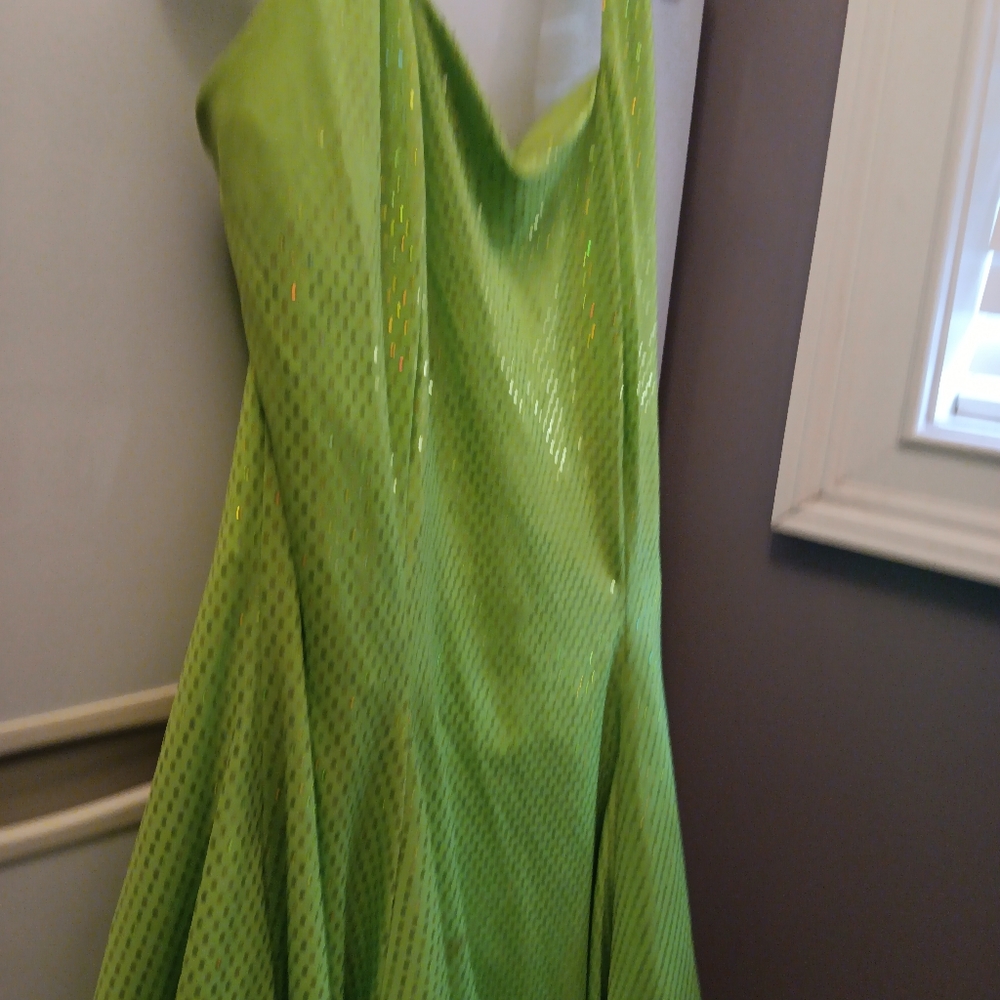 Iridescent Green Party Dress Size 18